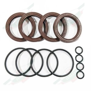 AW1355000 cam seal kit ferrari 355 o-rings
