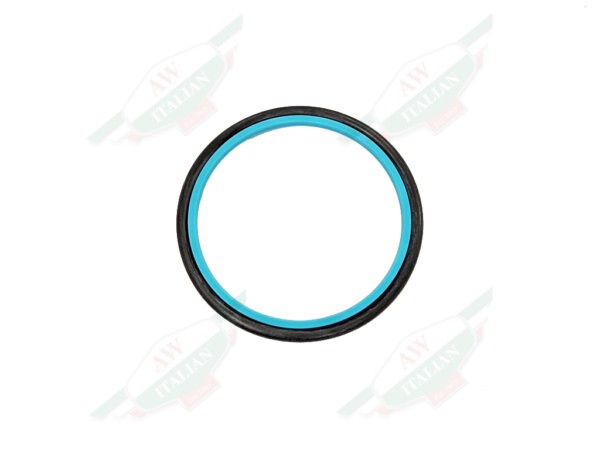 ferrari 170195 black and green oil seal o-ring