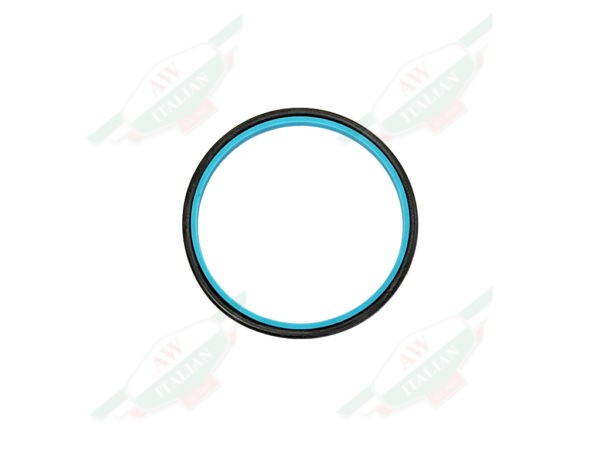 ferrari 170196 black and green oil seal o-ring